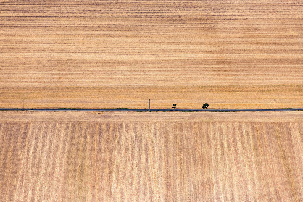 dr__0030311.jpg | WIEDEMAR 24.07.2019 Verlauf der Straßenführung entlang von abgeernteten Getreidefeldern in Wiedemar im Bundesland Sachsen, Deutschland. // Street - road guidance entlang von abgeernteten Getreidefeldern in Wiedemar in the state Saxony, Germany. Foto: Daniel Reiter