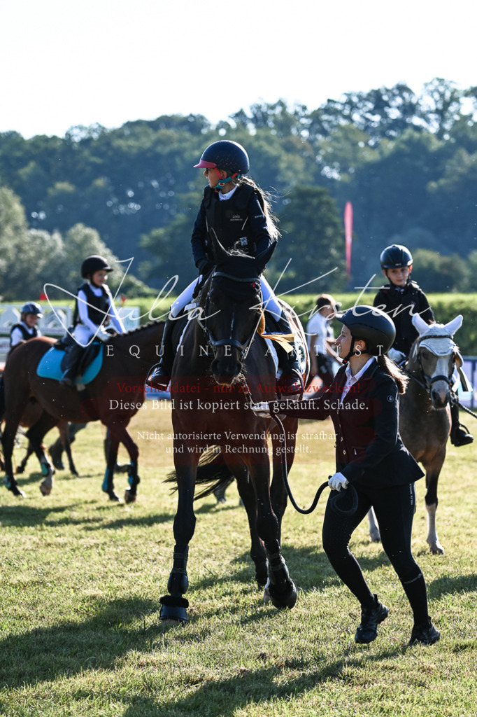 DSC_0531 | Pferde- und Turnierfotografie in Westsachsen. Pferdeportraits, Auftragszeichnungen und intuitive Kunst.