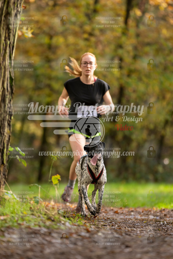 MompixPhotography_Bischwiller23_Canicross-105 | PayLife