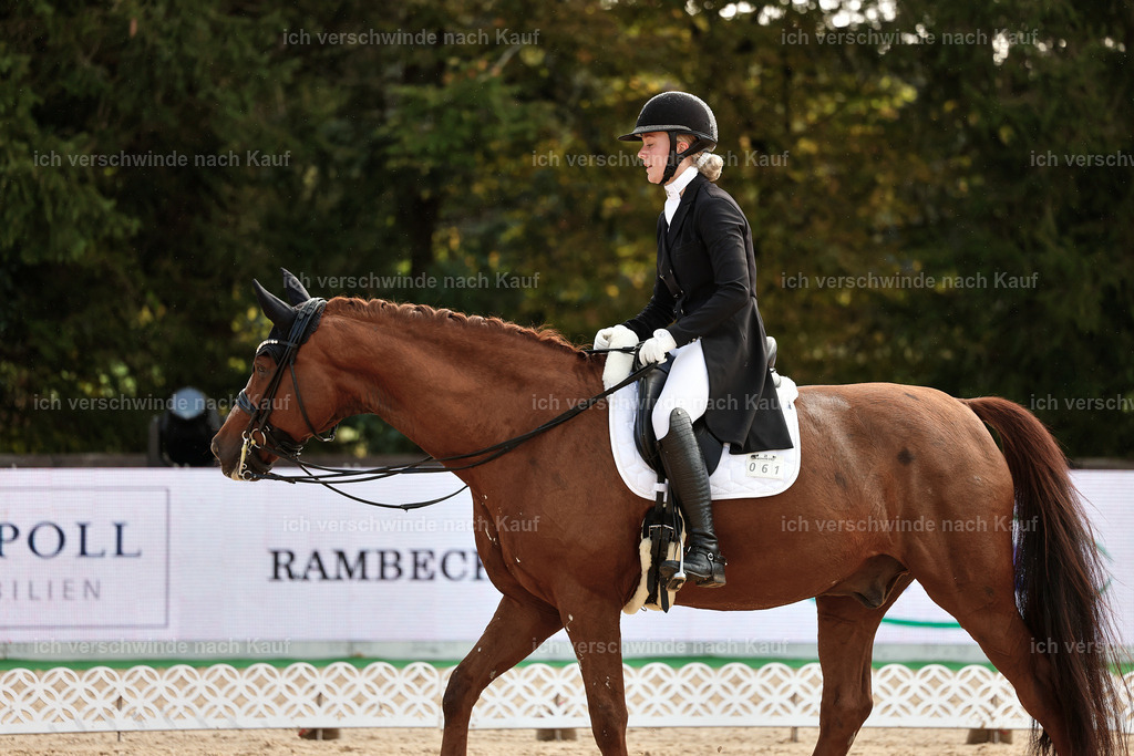 10-061-ST.GEORG SPECIAL -StoibPH-3163 | working equitationturnier fotograf videograf stoibphotography marixx film working equitation deutschland reitsport turnierfotografie eventfotografie equestrian events