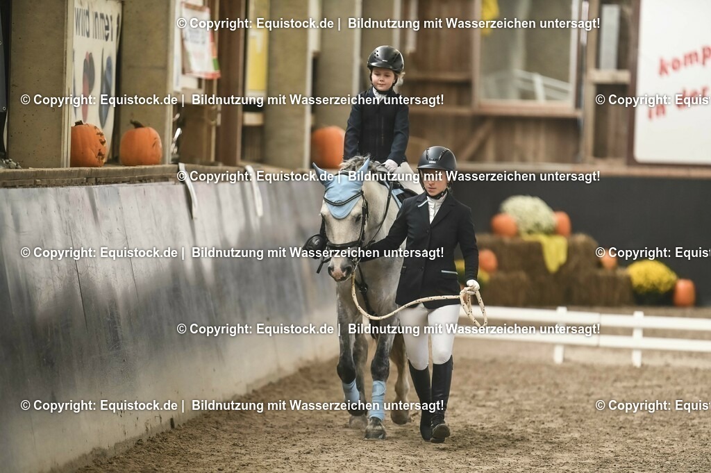 20231029_Führzügel-WB_Abteilung-02_0088 | Foto: Thomas Hartig