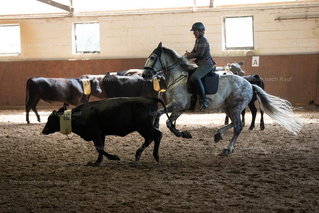 WL_COW_69_SinaFilmArt_IN03922 | working equitationturnier fotograf videograf stoibphotography marixx film working equitation deutschland reitsport turnierfotografie eventfotografie equestrian events