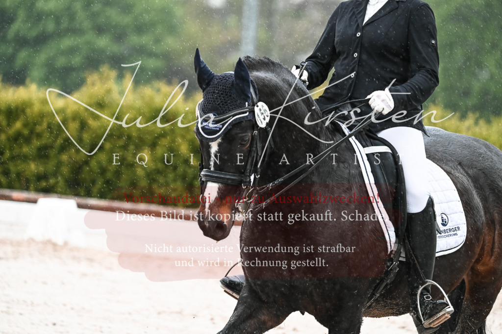 DSC_4661 | Pferde- und Turnierfotografie in Westsachsen. Pferdeportraits, Auftragszeichnungen und intuitive Kunst.