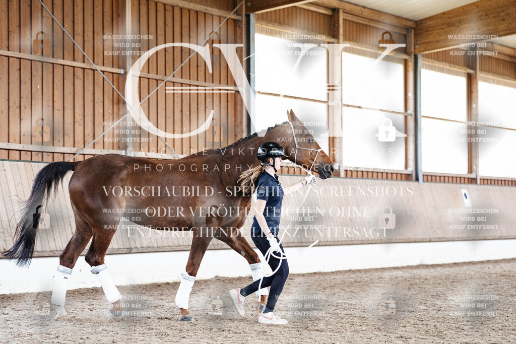 CK908270 | Turnierfotografie Pferdefotografie Trier Rheinland-Pfalz Pferdesport Reitsport Tierfotografie Sportfotografie Pferdevideo Pferdevideografie Equestrianvideography equestrianphotography  - Realisiert mit Pictrs.com