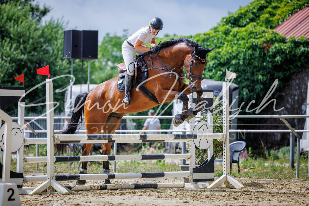20260705-_3LI4639 | Tierfotografie Pferde, Hunde, Katzen, Haustiere.
Turnierfotografie Reitturniere, Reiten, Springreiten, Dressur in Hanau, dem Main-Kinzig-Kreis und dem Rhein-Main- Gebiet um Frankfurt