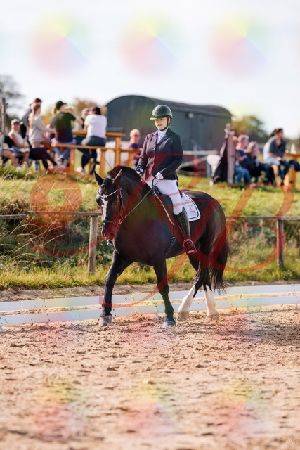 2026_10_03_Siefer-Hof_131530_Z81_63928533 | Professionelle Reitsport-, Turnier- und Eventfotografie von Robert Broda. Galerien mit ausgewählten und bearbeiteten Bildern direkt online ansehen und bestellen.