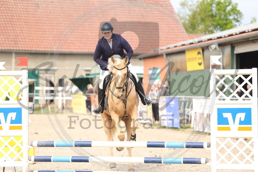 994A8715 | sabrinanicolaifotografie - Realisiert mit Pictrs.com