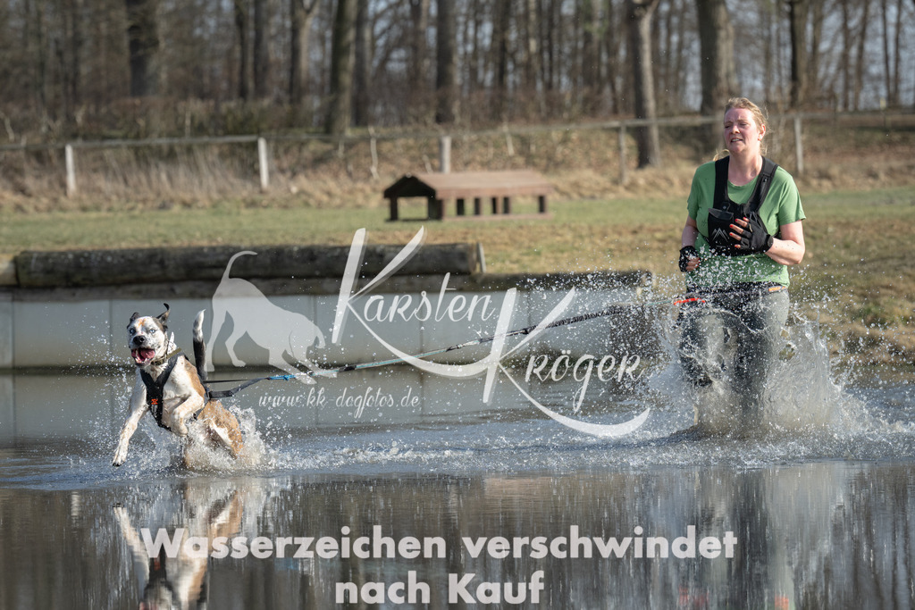 1426_ZZ90395 | kk-dogfotos