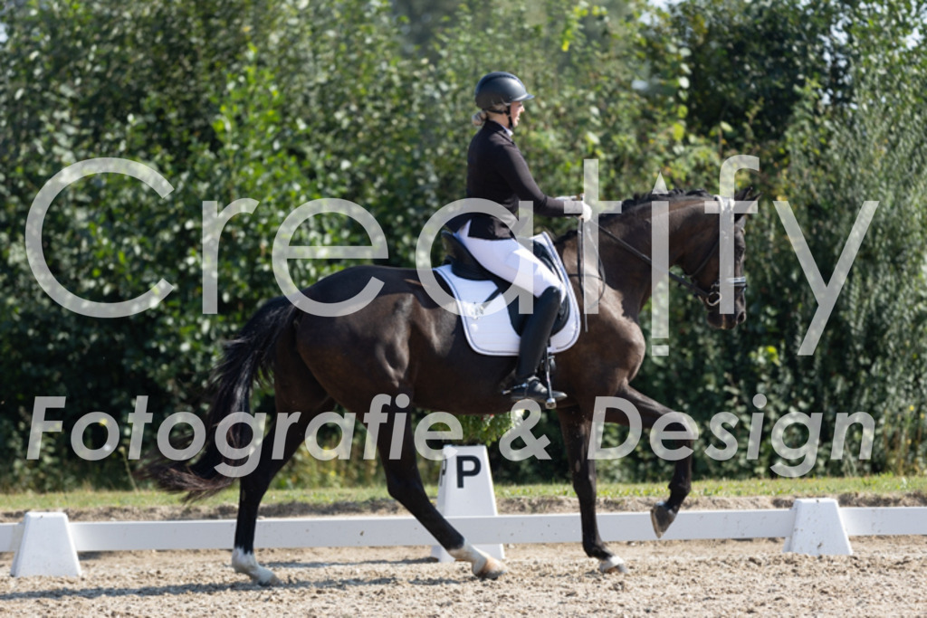 IMG_4017 | Creatify Fotografie