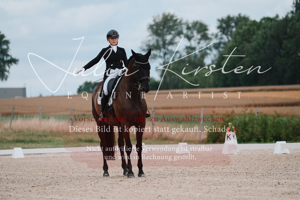 DSC_4150 | Pferde- und Turnierfotografie in Westsachsen. Pferdeportraits, Auftragszeichnungen und intuitive Kunst.