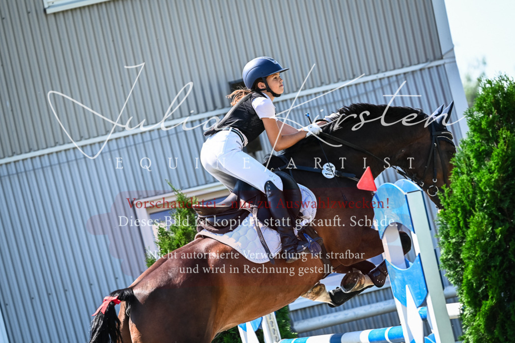 DSC_1380 | Pferde- und Turnierfotografie in Westsachsen. Pferdeportraits, Auftragszeichnungen und intuitive Kunst.
