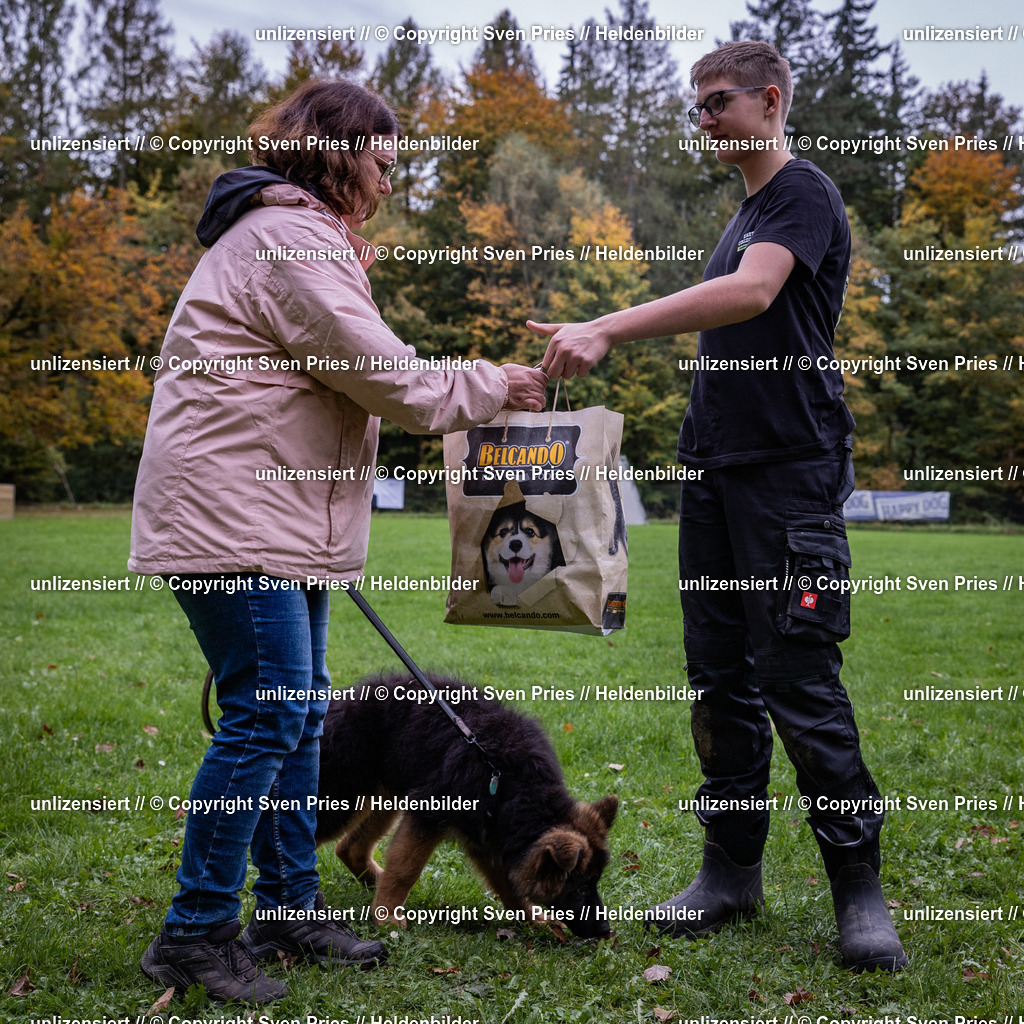 Sven Pries | 2024-10-19 - Hunderennen Ober-Grombach - Realisiert mit Pictrs.com