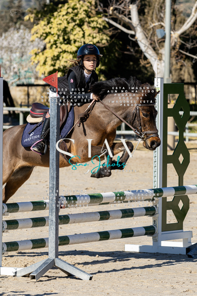 IMG_9166 | s-jay-photography - Realisiert mit Pictrs.com