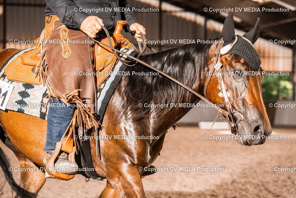 ZH100423 | dv-media-shop - Realisiert mit Pictrs.com