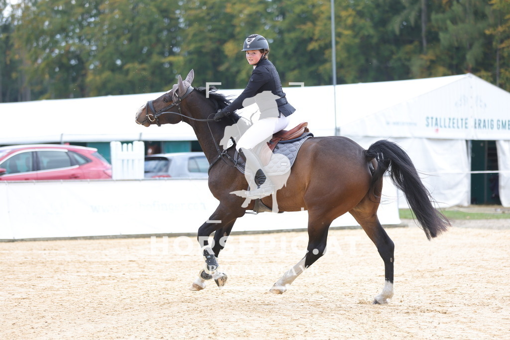 0P6A8500 | Willkommen bei Brunnmayr - Design & Fotografie – Ihrem Spezialisten für Reitturniere und Pferdeveranstaltungen in Oberösterreich, Salzburg und Bayern! Seit über 17 Jahren sind wir leidenschaftlich dabei.