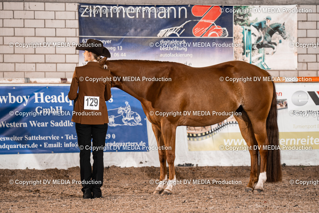 ZH200011 | dv-media-shop - Realisiert mit Pictrs.com