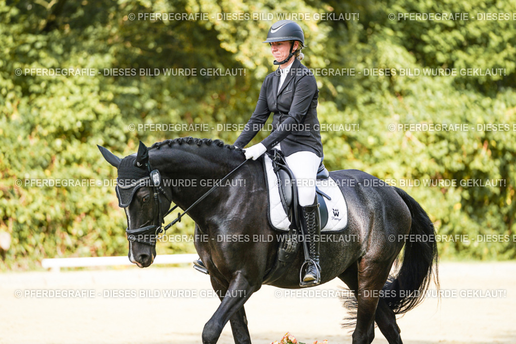 DSC02296 | Pferdegrafie