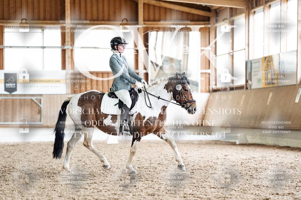 CK901104 | Turnierfotografie Pferdefotografie Trier Rheinland-Pfalz Pferdesport Reitsport Tierfotografie Sportfotografie Pferdevideo Pferdevideografie Equestrianvideography equestrianphotography  - Realisiert mit Pictrs.com