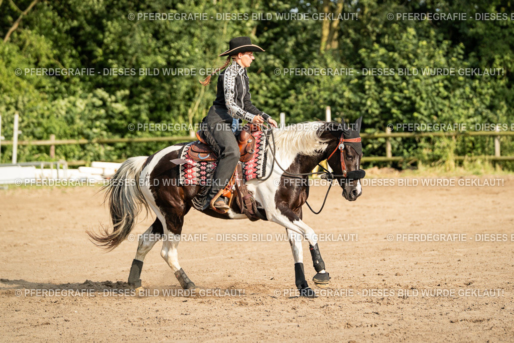 DSC05562 | Pferdegrafie