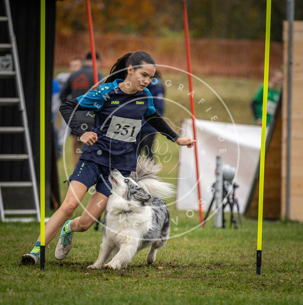 Pfotenfotografie_DV3A0587 | Hundefotografie, Tierfotograf, Pfotenfotografie, Fotoshooting Hund, Hunde Portrait, Hundesport, Hundeportraits, Heideshooting, Hunde, Sportfotograf, Hundefotograf, Turnierhundsport, THS,  - Realisiert mit Pictrs.com