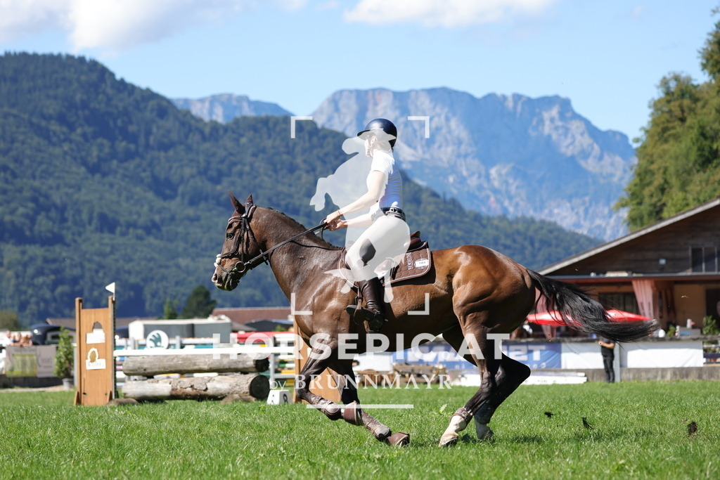 0P6A6498 | Willkommen bei Brunnmayr - Design & Fotografie – Ihrem Spezialisten für Reitturniere und Pferdeveranstaltungen in Oberösterreich, Salzburg und Bayern! Seit über 17 Jahren sind wir leidenschaftlich dabei.