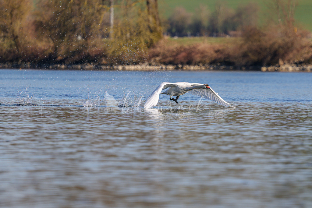  waterslide-0751 | Frühlingserwachen