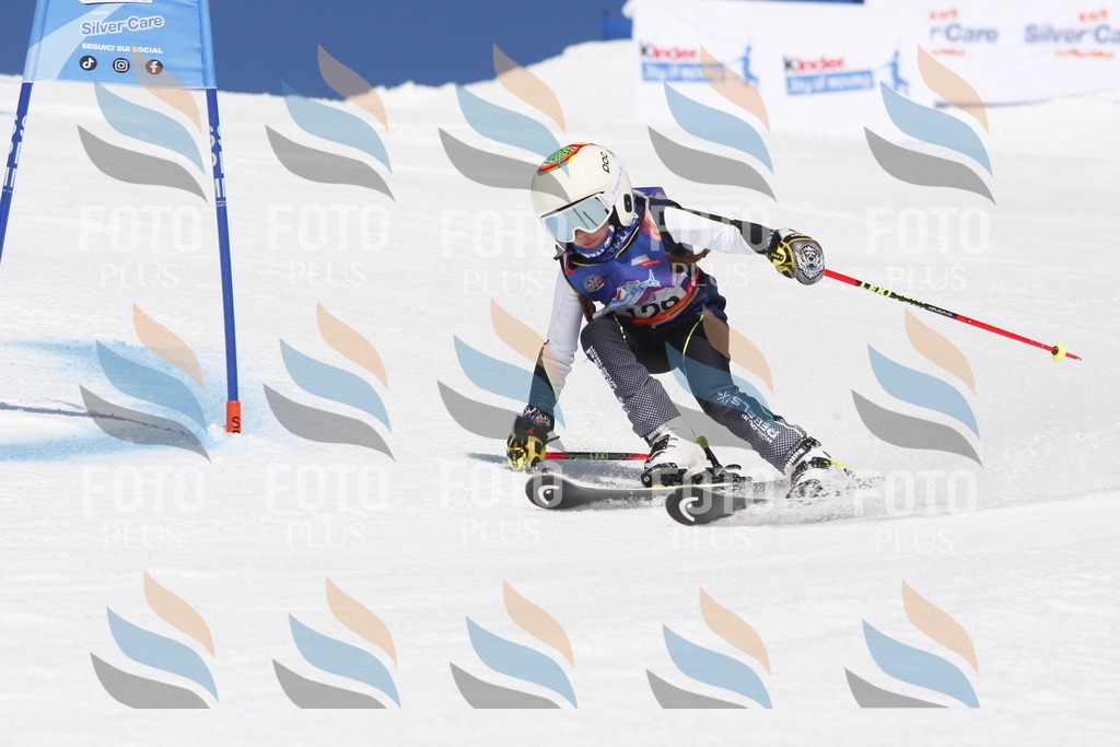 _W1G1944 | holidayphoto