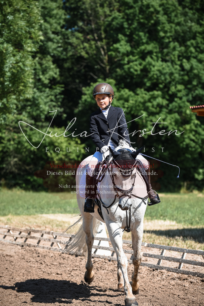 DSC_3576 | Pferde- und Turnierfotografie in Westsachsen. Pferdeportraits, Auftragszeichnungen und intuitive Kunst.