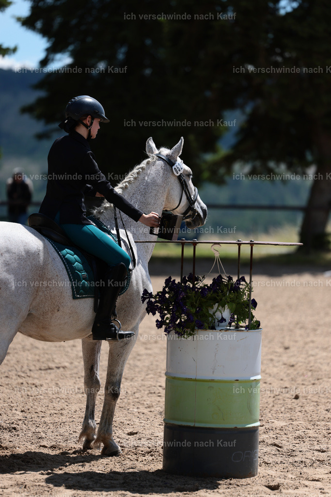 KlasseE_Stoibphotography_CAM22525.JPG | working equitationturnier fotograf videograf stoibphotography marixx film working equitation deutschland reitsport turnierfotografie eventfotografie equestrian events