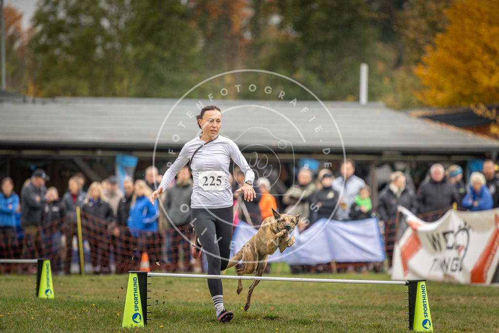 Pfotenfotografie_DV3A3161 | Hundefotografie, Tierfotograf, Pfotenfotografie, Fotoshooting Hund, Hunde Portrait, Hundesport, Hundeportraits, Heideshooting, Hunde, Sportfotograf, Hundefotograf, Turnierhundsport, THS,  - Realisiert mit Pictrs.com