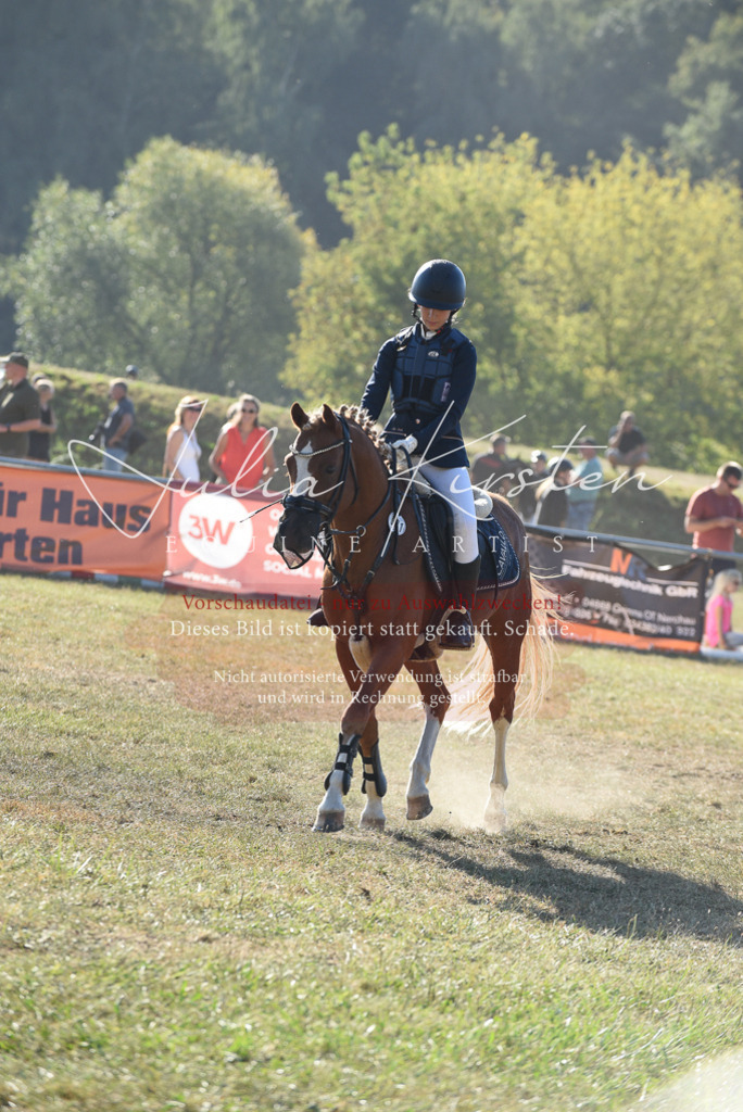 DSC_5640 | Pferde- und Turnierfotografie in Westsachsen. Pferdeportraits, Auftragszeichnungen und intuitive Kunst.