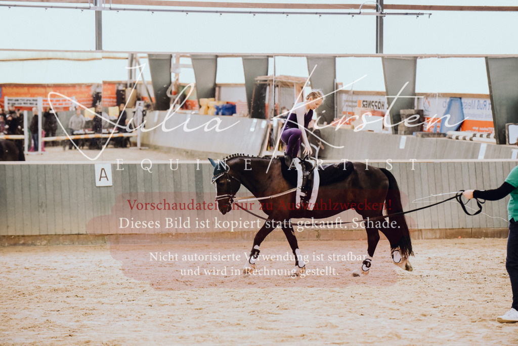 DSC_6879 | Pferde- und Turnierfotografie in Westsachsen. Pferdeportraits, Auftragszeichnungen und intuitive Kunst.