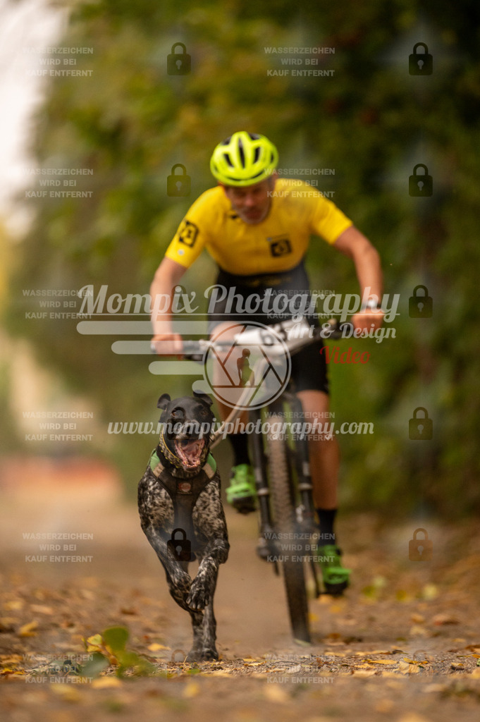 CDLBDB_14_10_2023_Samedi-92 | PayLife