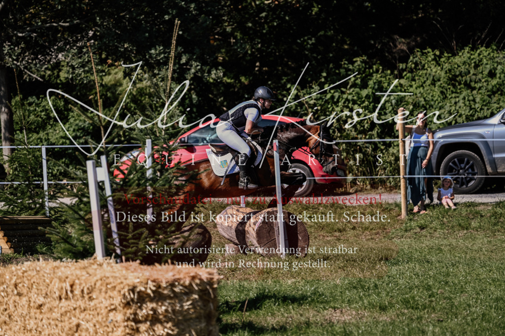 DSC_1511 | Pferde- und Turnierfotografie in Westsachsen. Pferdeportraits, Auftragszeichnungen und intuitive Kunst.
