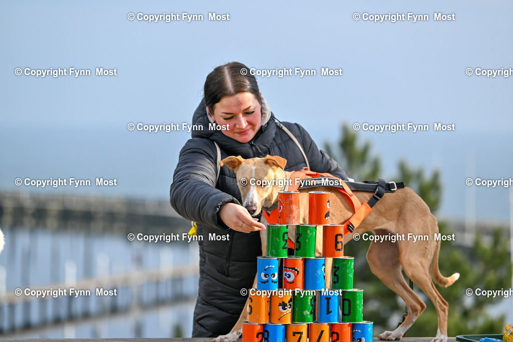 DSC_5276 | Hallo und herzlich Willkommen auf meiner Shop-Seite Fynn Most.

Ich wünsche Dir viel Spaß beim stöbern durch die Bilder, wenn Du Fragen hast oder Bilder vermisst, kannst du mir gerne eine Nachricht schreiben. - Realisiert mit Pictrs.com