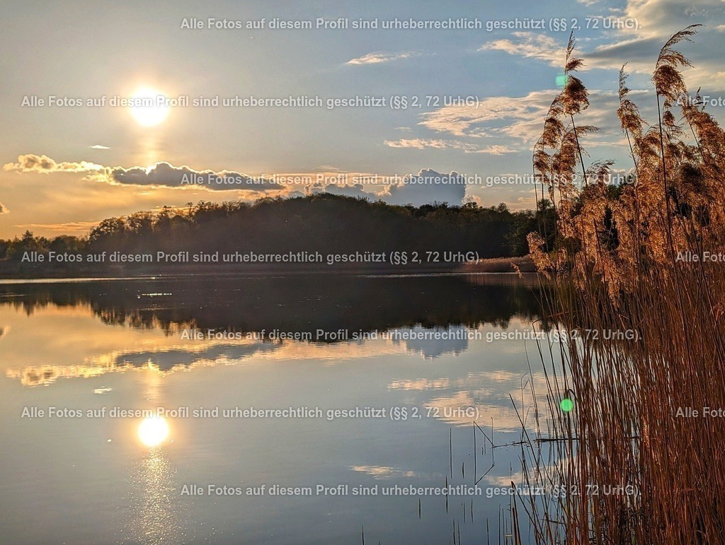 PXL_20240422_172502681-01 | krollfotografie - Realisiert mit Pictrs.com