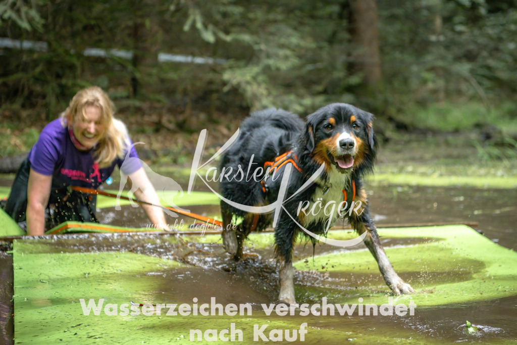 1537_ZZ91518-Bearbeitet | kk-dogfotos