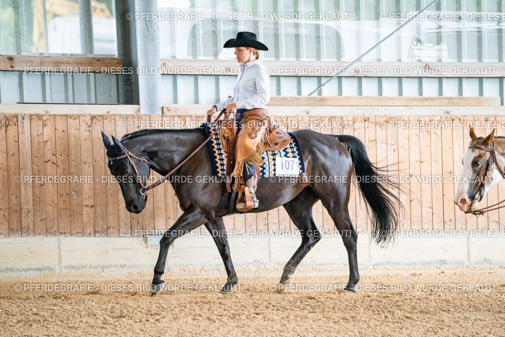 DSC09883 | Pferdegrafie