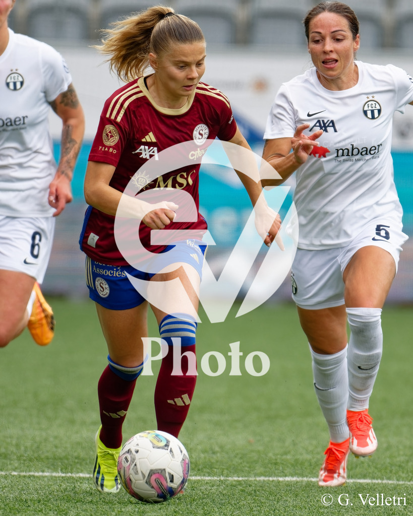 DSC_2317 | Velletri Photo