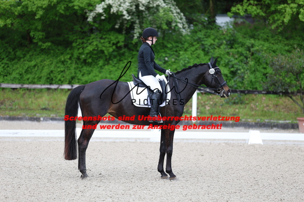 A40A9964 | lmwpictures - Realisiert mit Pictrs.com