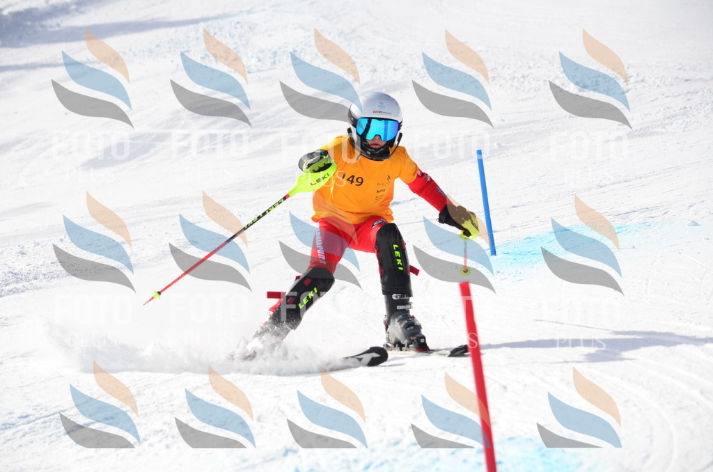 C7747 | holidayphoto