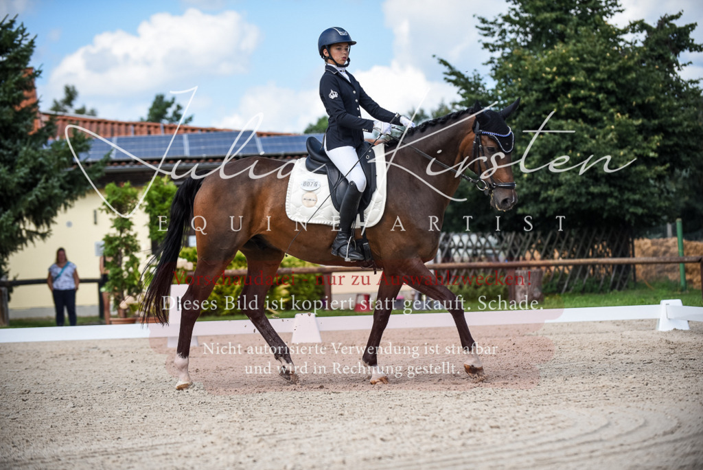 DSC_9403 | Pferde- und Turnierfotografie in Westsachsen. Pferdeportraits, Auftragszeichnungen und intuitive Kunst.