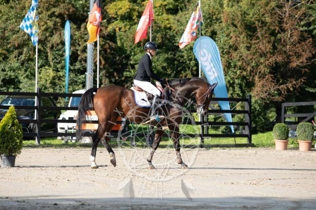 2B4A3796 | pixelfaenger - Realisiert mit Pictrs.com