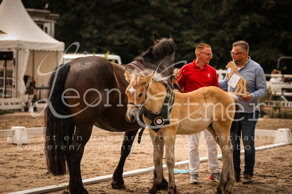 SaSF00157 | Leoni Ertmer Photography - Realisiert mit Pictrs.com