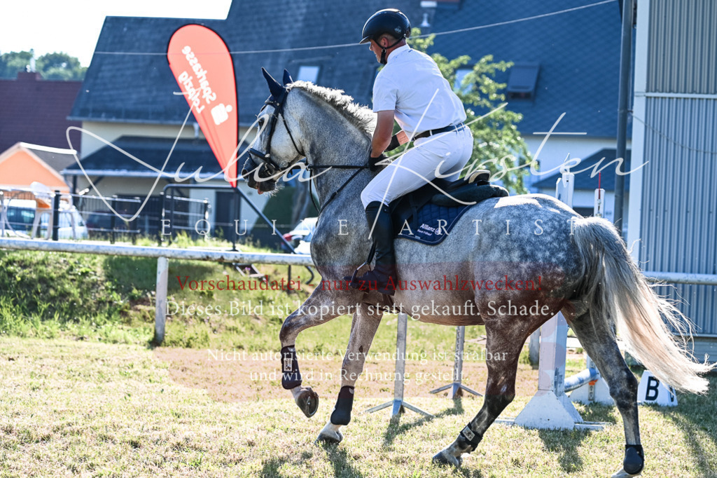DSC_2825 | Pferde- und Turnierfotografie in Westsachsen. Pferdeportraits, Auftragszeichnungen und intuitive Kunst.