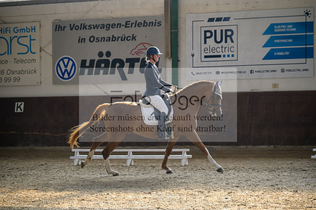 Reitturnier Voxtrup | Entdecke hochwertige Reitturnierfotos von Foto Oger. Professionell, emotional und authentisch – jetzt Lieblingsmomente im Shop bestellen.Deutschlandweite Turnierfotografie. - Realisiert mit Pictrs.com
