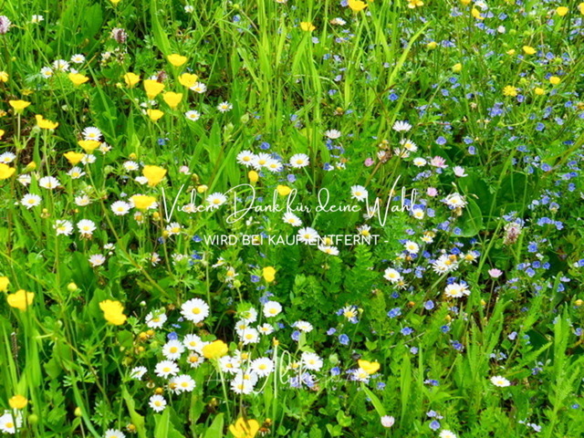 IMG_6910 | Fotografie für »mehr« Persönlichkeit ... von Anfang an - authentisch natürlich emotional - Geburt, Kinder und Familie, Entrepreneure, Kreative, Kamera-Scheue, Interessierte. Mit Empathie und ohne Posen erstelle ich Bilder mit "Wieder-Erkennungs-Gefühl".