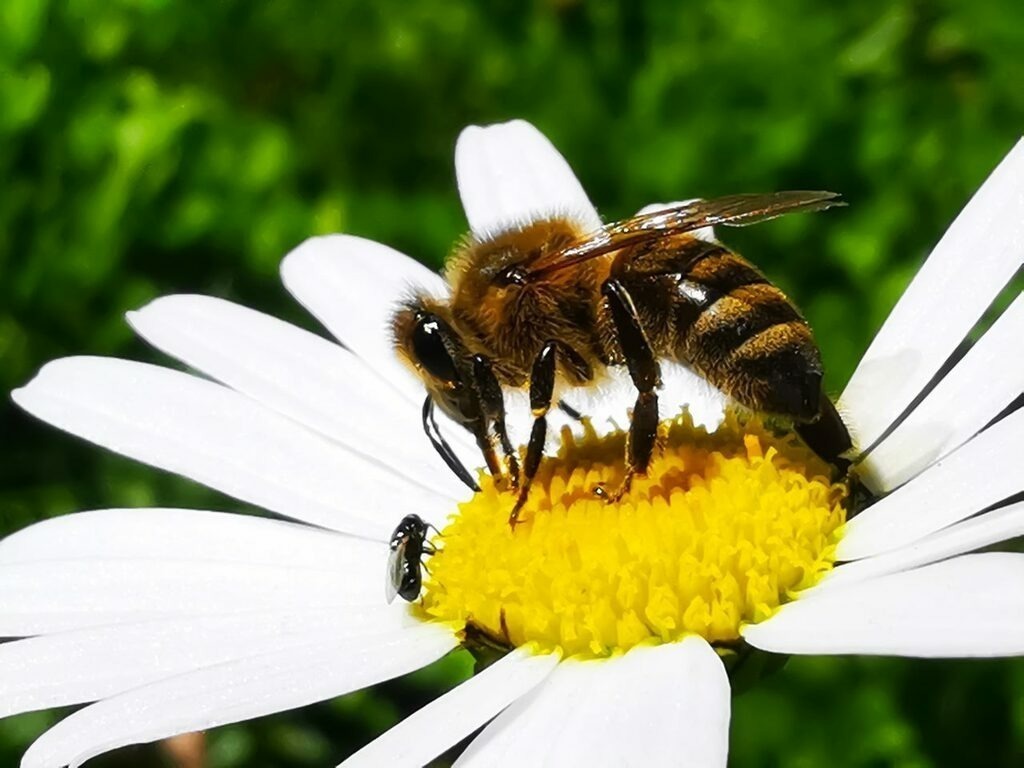 PSX_20220912_224812 | mtkfoto_ - Realisiert mit Pictrs.com