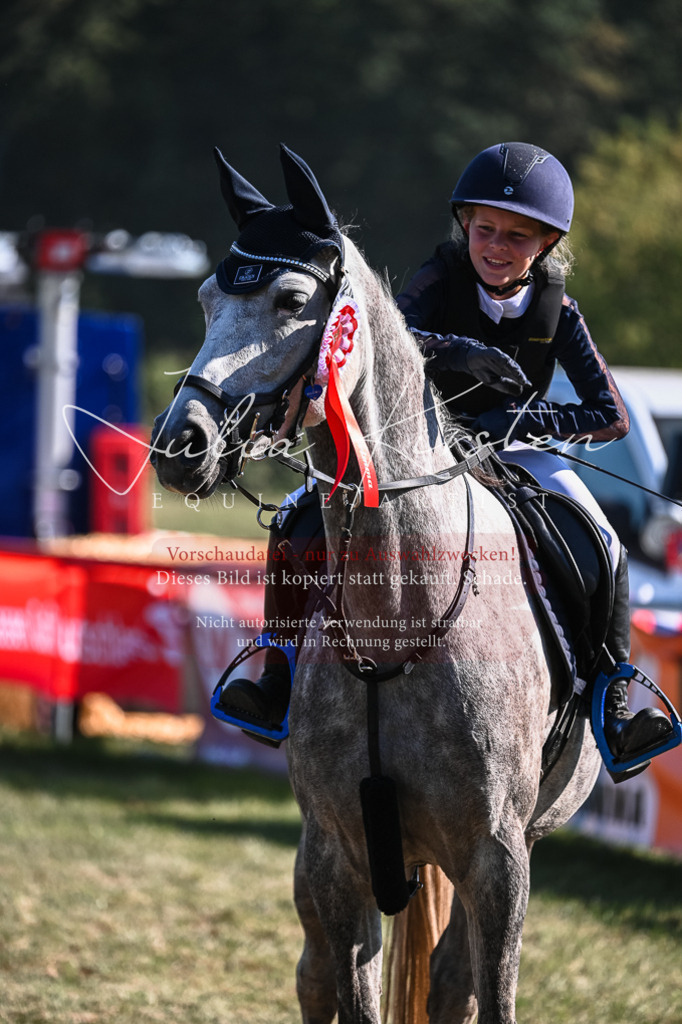 DSC_7022 | Pferde- und Turnierfotografie in Westsachsen. Pferdeportraits, Auftragszeichnungen und intuitive Kunst.
