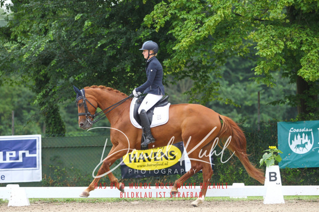DKP40082 | Turniersportfotografie; Pferdefotografie; Dressurfotografie